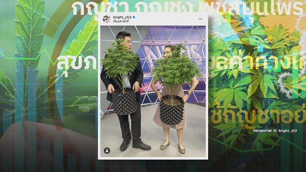 9 มิ.ย. ปลดล็อกกัญชาวันแรก “สรยุทธ-ไบรท์-แทค-โจอี้บอย-มาลีฮวนน่า” ตื่นตัว   (มีคลิป)