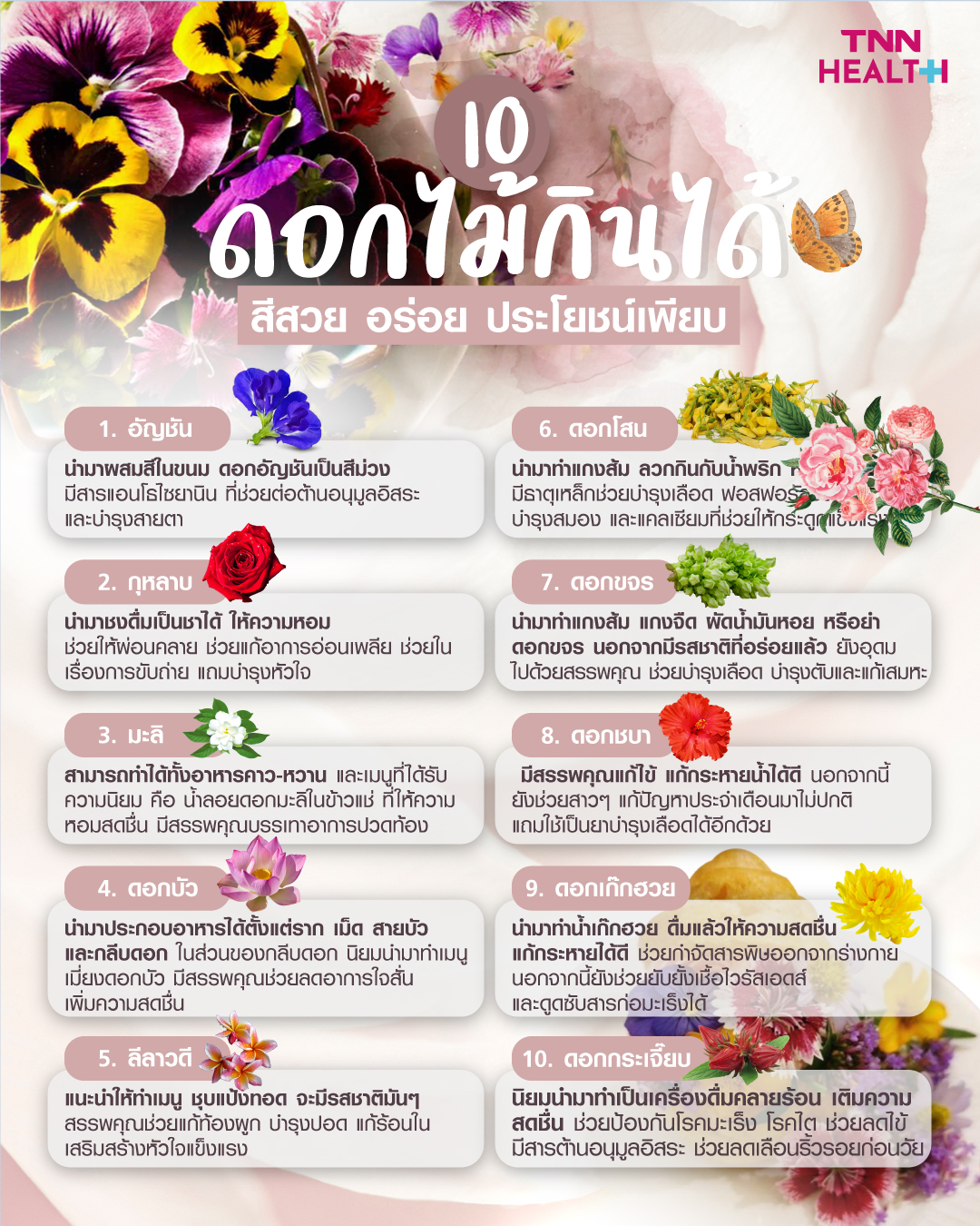 “10 ดอกไม้กินได้” สีสวย อร่อย ประโยชน์เพียบ “10 ดอกไม้กินได้” สีสวย อร่อย ประโยชน์เพียบ