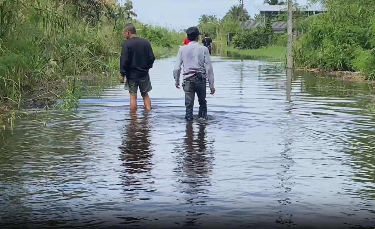 นครศรีฯ พื้นที่รับน้ำยังอ่วม - สุราษฎร์ฯ อ.พุนพิน ยังท่วมสูง นครศรีฯ พื้นที่รับน้ำยังอ่วม - สุราษฎร์ฯ อ.พุนพิน ยังท่วมสูง