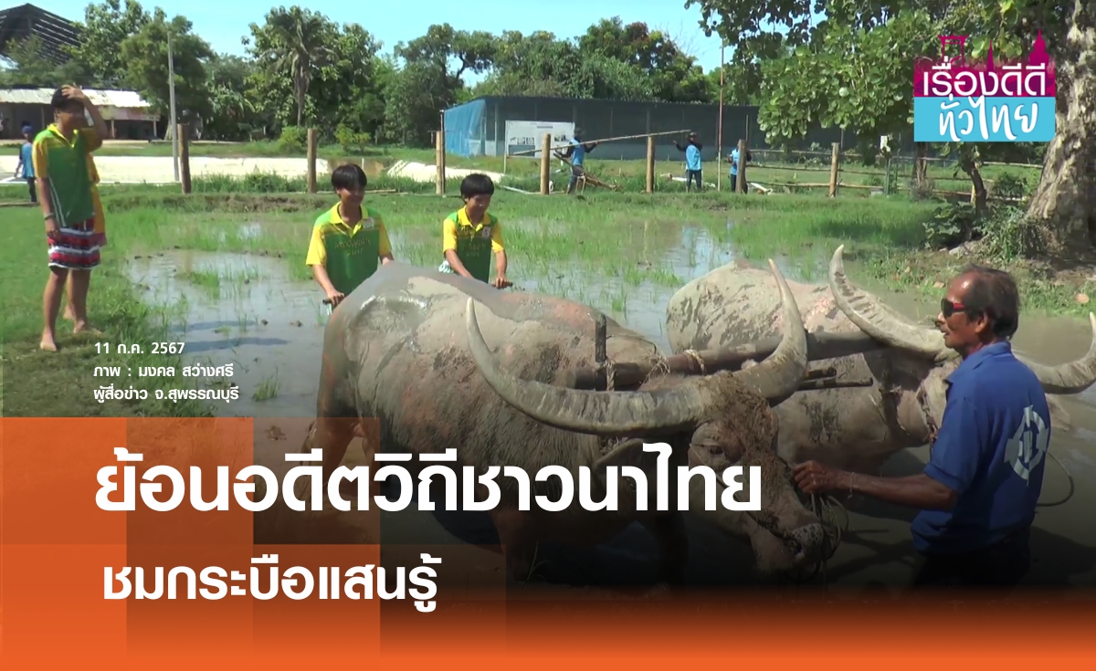 ย้อนอดีตวิถีชาวนาไทย ชมกระบือแสนรู้ | เรื่องดีดีทั่วไทย