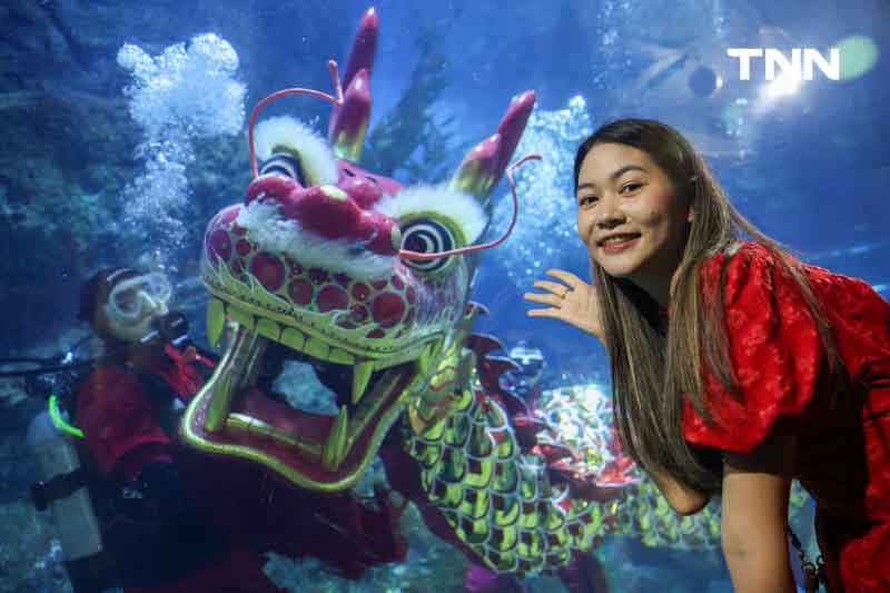 เตรียมต้อนรับเทศกาลตรุษจีน เชิดมังกรใต้น้ำ ที่ ซีไลฟ์ แบงคอก เตรียมต้อนรับเทศกาลตรุษจีน เชิดมังกรใต้น้ำ ที่ ซีไลฟ์ แบงคอก
