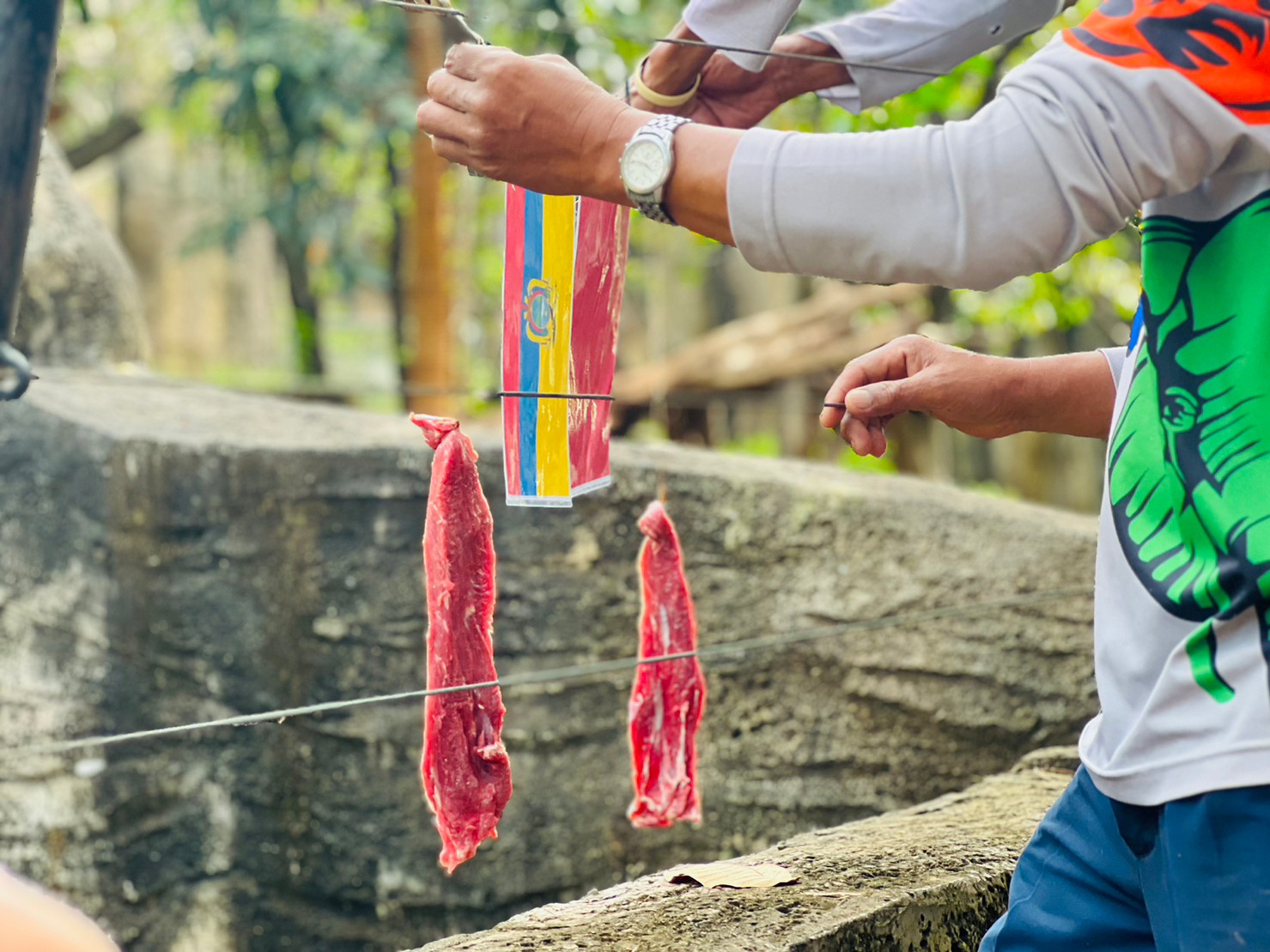 สวนสัตว์โคราช จัดกิจกรรมเสือดาวทายผลฟุตบอลโลก 2022 สวนสัตว์โคราช จัดกิจกรรมเสือดาวทายผลฟุตบอลโลก 2022