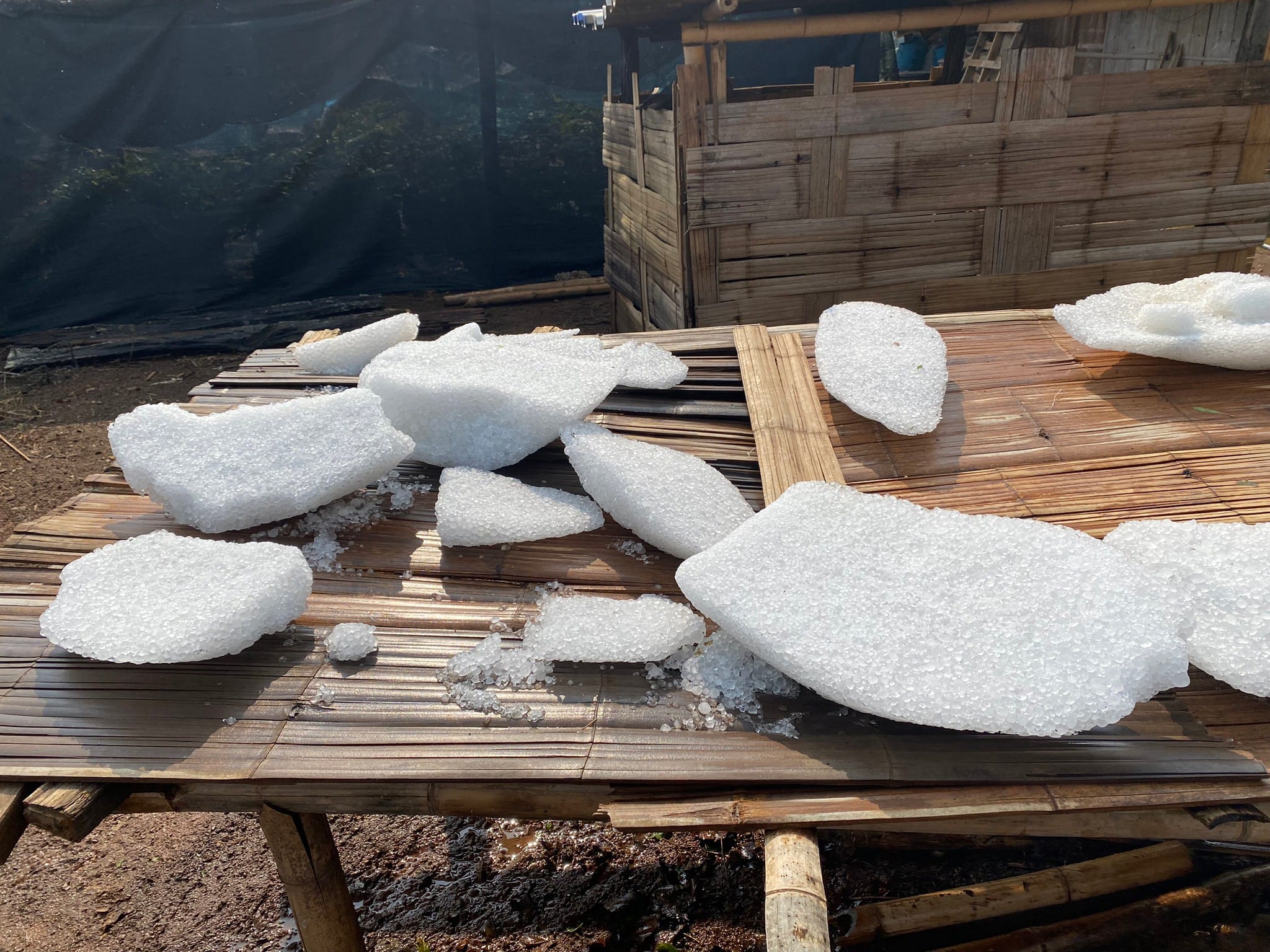 ‘พายุฤดูร้อน’ลูกเห็บก้อนยักษ์ตกใส่เชียงใหม่ ข้ามคืนยังไม่ละลาย ‘พายุฤดูร้อน’ลูกเห็บก้อนยักษ์ตกใส่เชียงใหม่ ข้ามคืนยังไม่ละลาย