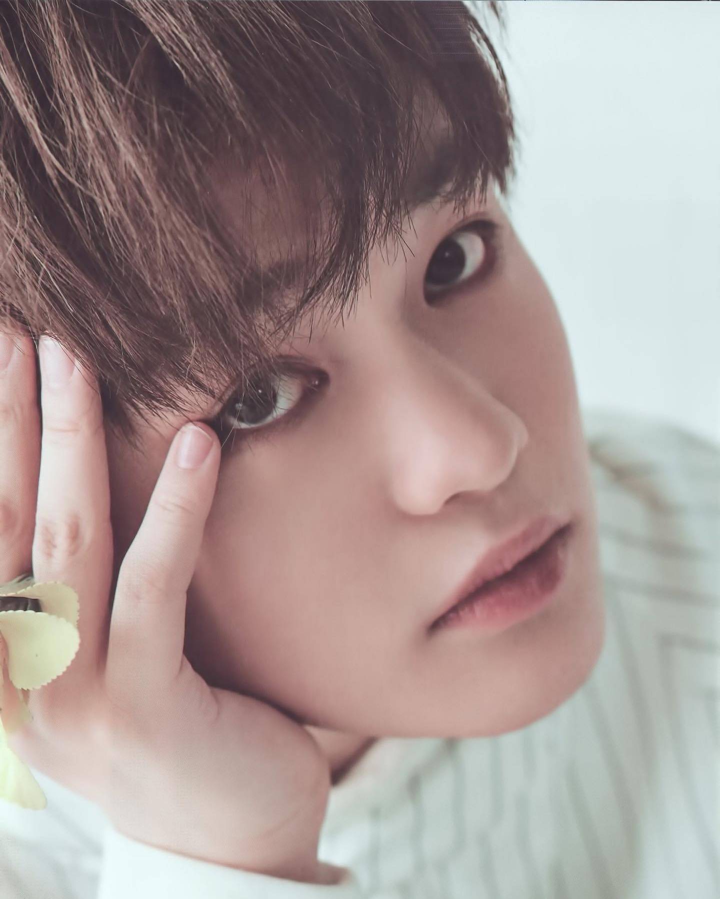 เฉินเล่อ NCT Dream ซ้อมหนักจนข้อเท้าซ้ายได้รับบาดเจ็บ ต้นสังกัดสั่งพักรักษาตัวทันที