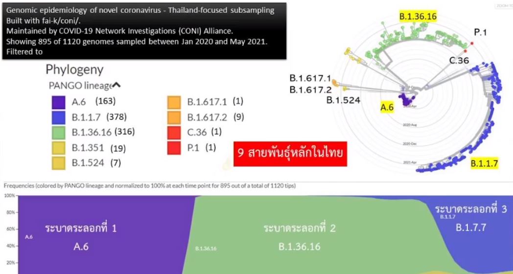 ไทยเฝ้าระวัง สายพันธุ์อินเดีย 2 หลังพบการแพร่ระบาดเร็วกว่าสายพันธุ์อังกฤษถึง 40%