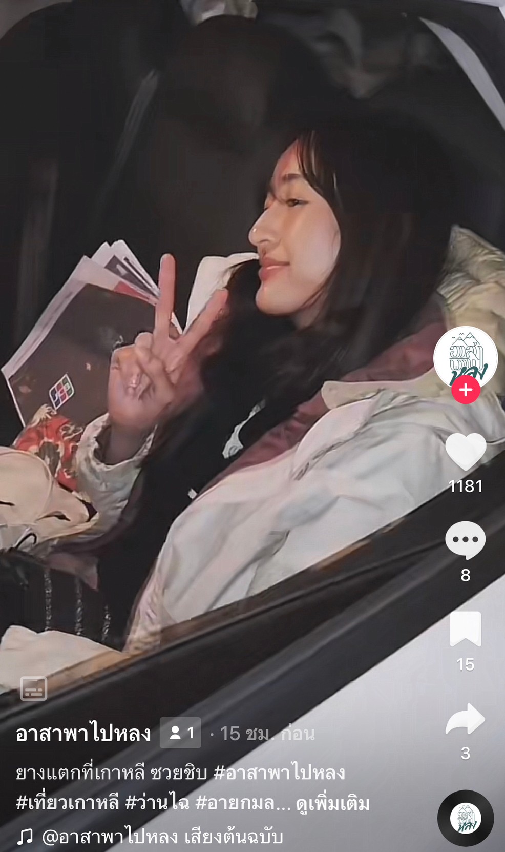 เหตุส่งท้ายทริป! ว่านไฉ - อาย รถยางแตกบนทางหลวงที่เกาหลี