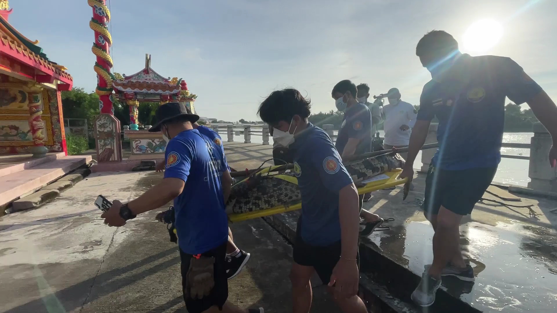 จับได้อีกตัว จระเข้ ในแม่น้ำบางปะกง-คาดมีอีกหลายตัว