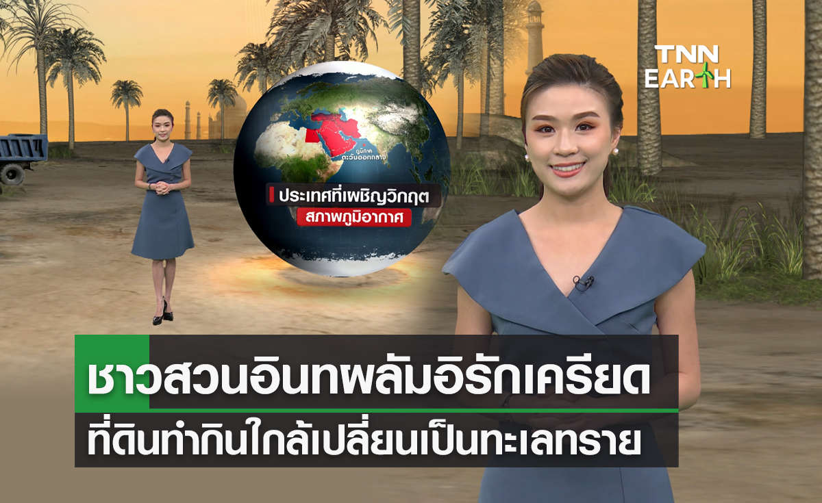ชาวสวนอินทผลัมอิรักเครียด ที่ดินใกล้เปลี่ยนเป็นทะเลทราย