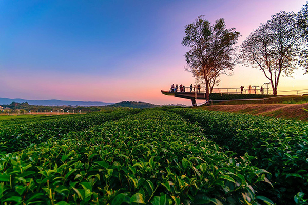 15 ที่เที่ยวเชียงราย 2565 แอ่วเมืองเหนือ สุดเขตแดนสยาม 15 ที่เที่ยวเชียงราย 2565 แอ่วเมืองเหนือ สุดเขตแดนสยาม