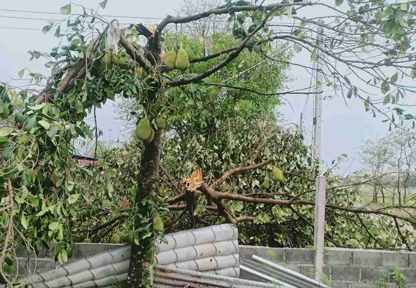 พายุฤดูร้อนพัดถล่ม หนองบัวลำภู บ้านเรือนเสียหายร่วม 500 หลัง
