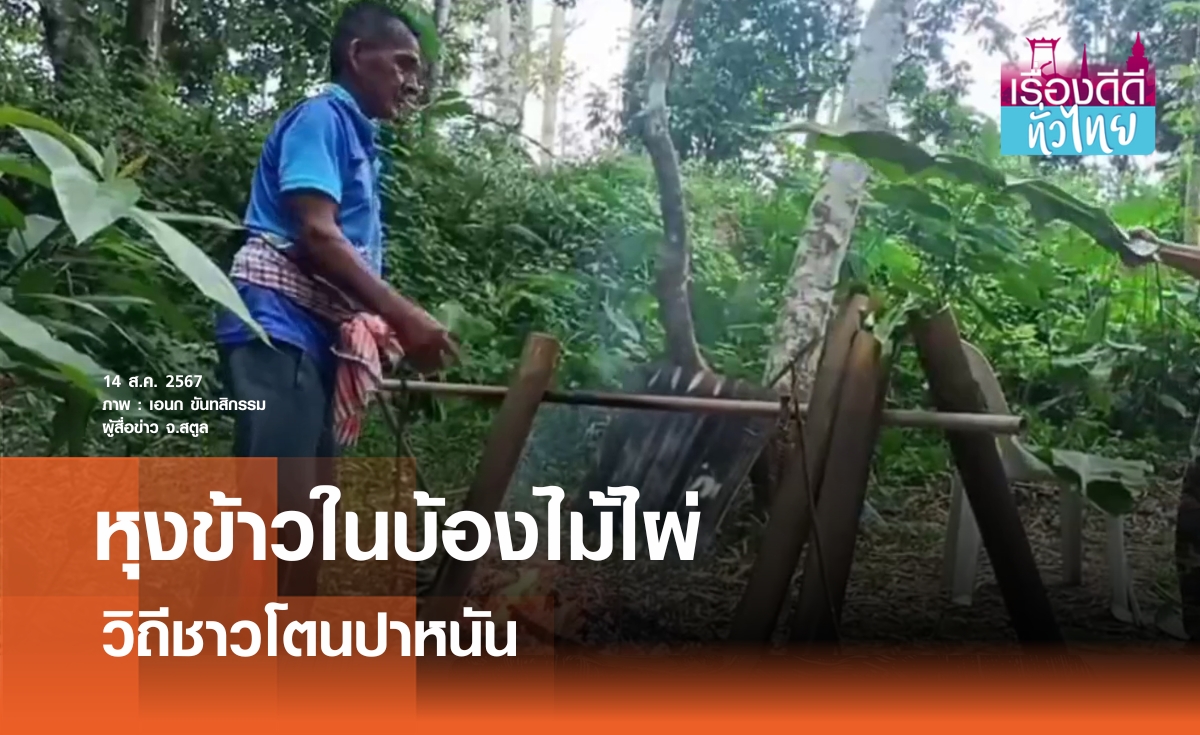 หุงข้าวในบ้องไผ่ ภูมิปัญญาชาวโตนปาหนัน | เรื่องดีดีทั่วไทย