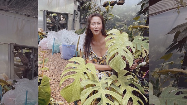 นาวิน ต้าร์ จับมือภรรยา ไฮโซน้ำหวาน ทำธุรกิจใหม่ (มีคลิป) นาวิน ต้าร์ จับมือภรรยา ไฮโซน้ำหวาน ทำธุรกิจใหม่ (มีคลิป)