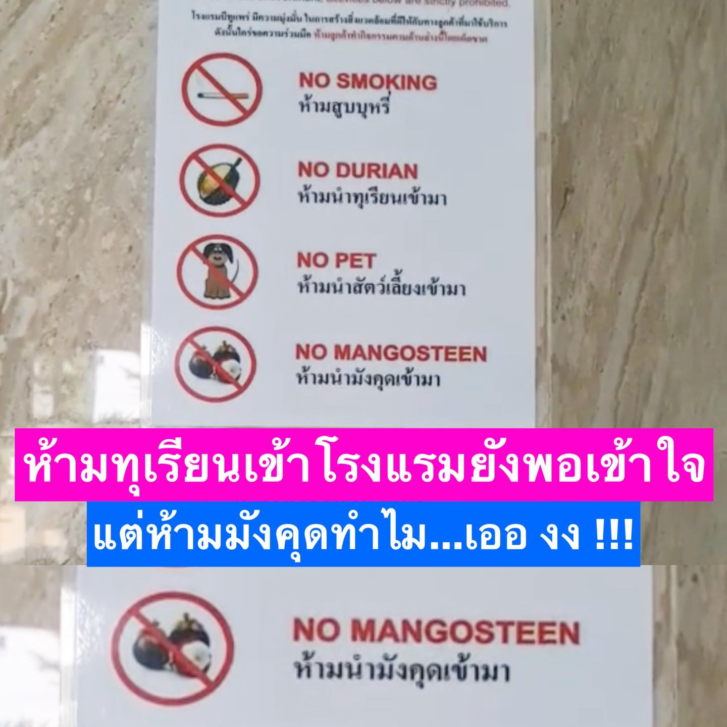 เพจผู้บริโภคเฉลยแล้ว! เหตุใดถึงห้ามนำ ‘มังคุด’ เข้าโรงแรมทั้งๆที่ไม่มีกลิ่น เพจผู้บริโภคเฉลยแล้ว! เหตุใดถึงห้ามนำ ‘มังคุด’ เข้าโรงแรมทั้งๆที่ไม่มีกลิ่น