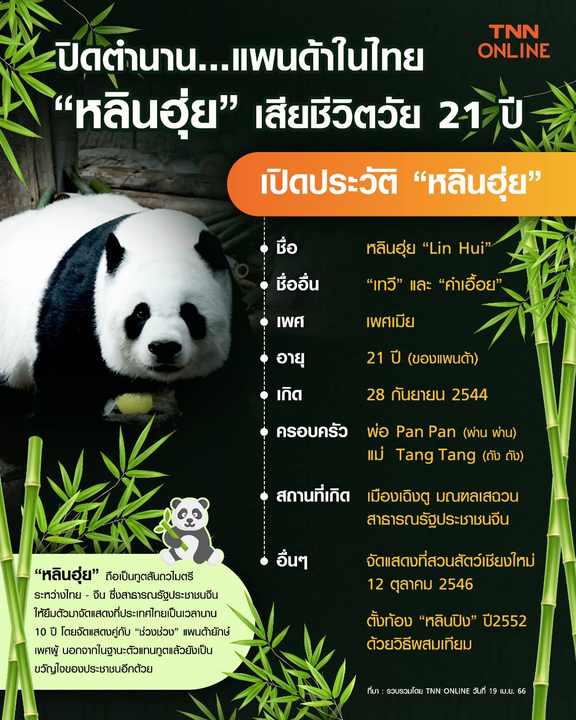 ด่วน! “หลินฮุ่ย” แพนด้ายักษ์ตายแล้ว! กลับดาวหมีอายุ 21 ปี 
