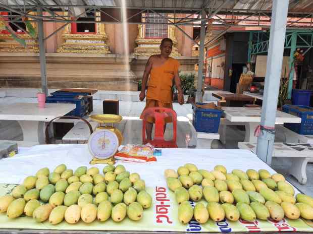 พระวางตาลปัตร นั่งขายมะม่วง หาค่าน้ำ-ค่าไฟ
