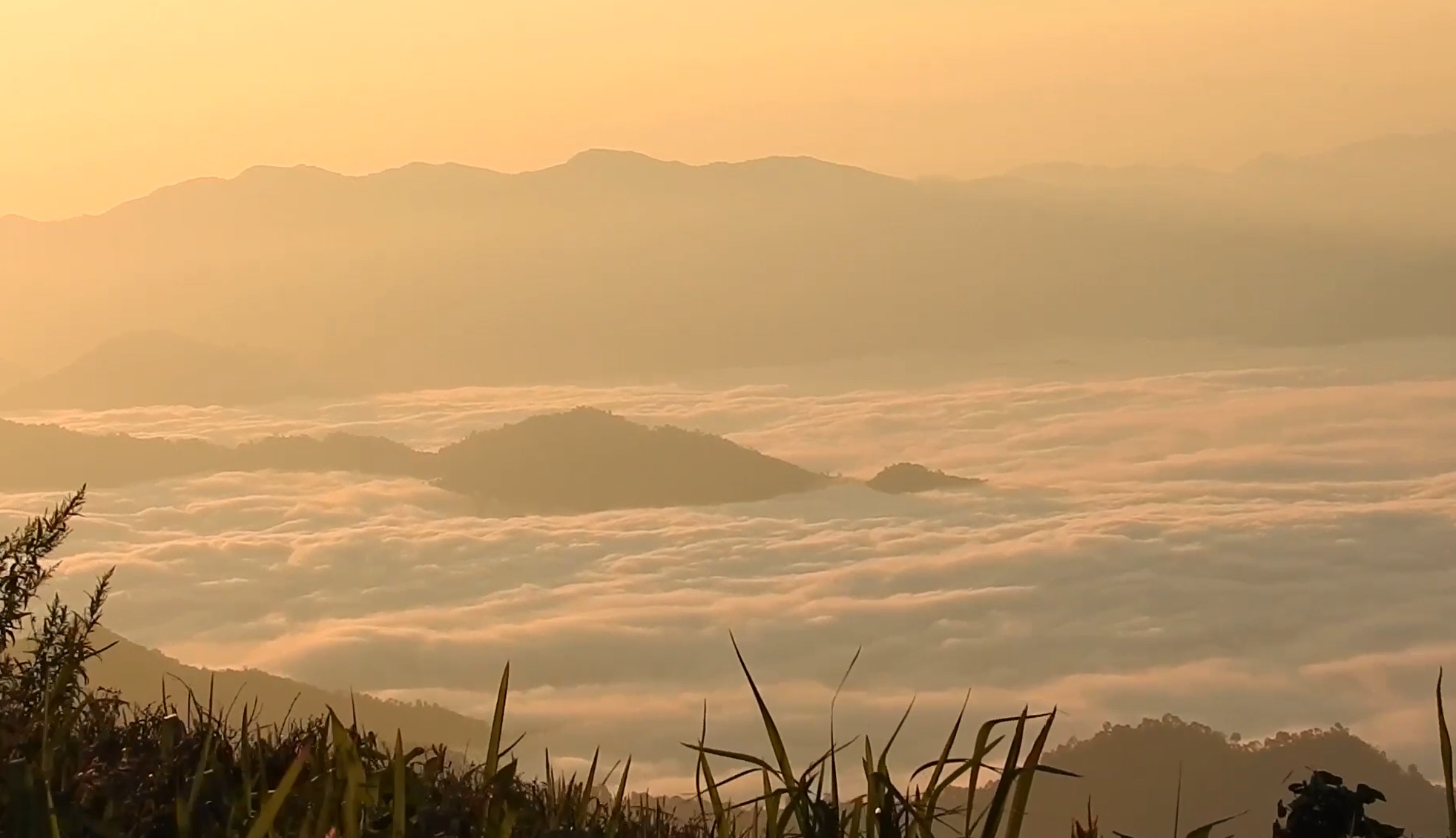 ภูชี้ฟ้า เปิดให้ท่องเที่ยวแล้ววันนี้ หลังเจอวิกฤตไฟป่าหมอกควัน