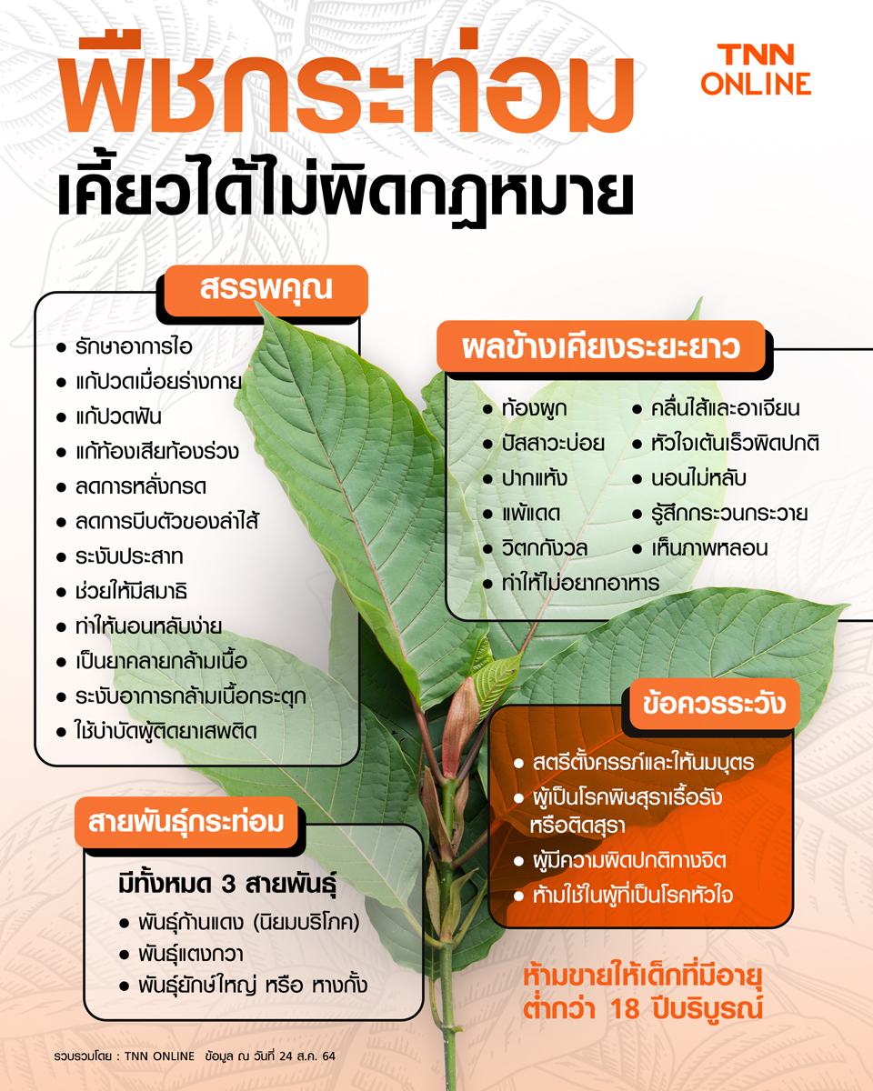 พืชกระท่อมเคี้ยวได้ไม่ผิดกฎหมาย