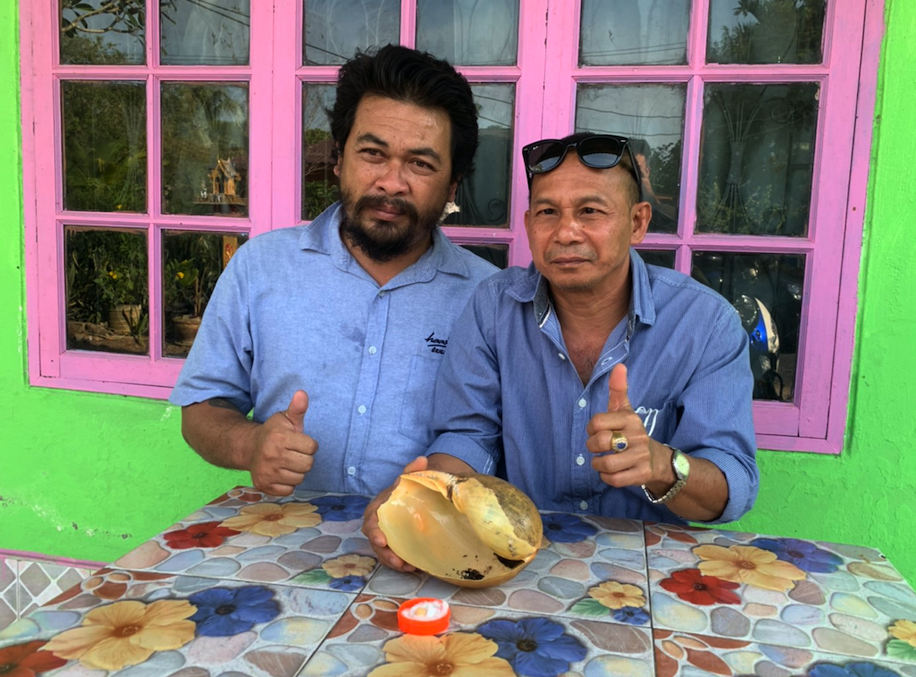 มุกเมโล โผล่อีกเม็ดที่เมืองตรัง เจ้าของรอพิสูจน์ก่อนขาย มุกเมโล โผล่อีกเม็ดที่เมืองตรัง เจ้าของรอพิสูจน์ก่อนขาย