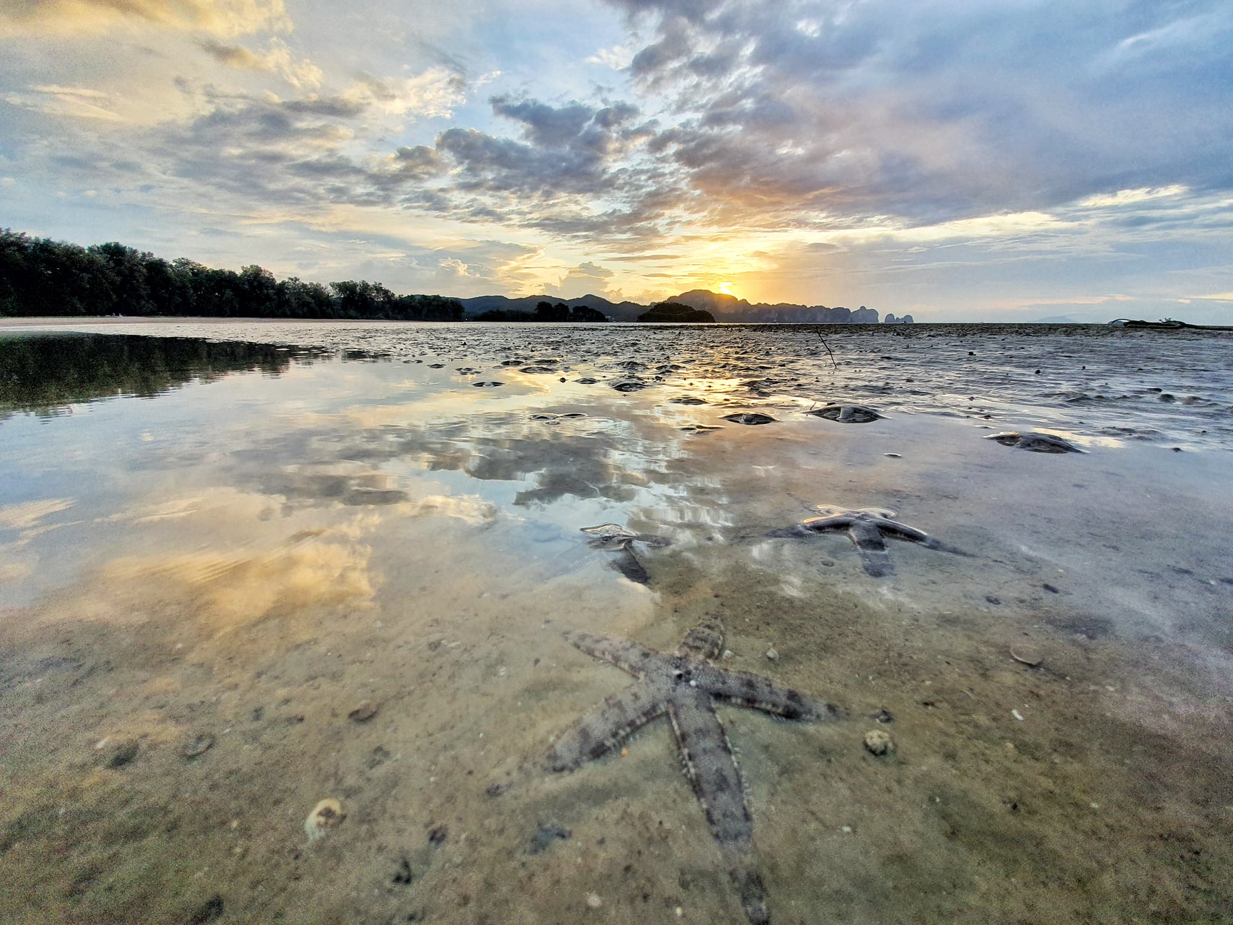 เตือนคนมือบอน! เที่ยวทะเลจับ “ดาวทะเล” มาเล่น มีโทษปรับ 5 แสนคุก 5 ปี เตือนคนมือบอน! เที่ยวทะเลจับ “ดาวทะเล” มาเล่น มีโทษปรับ 5 แสนคุก 5 ปี
