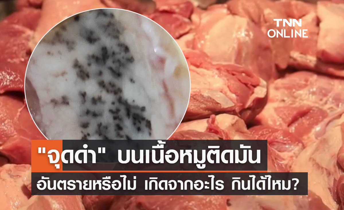 อาจารย์เจษฎ์ ไขข้อข้องใจ "จุดดำบนเนื้อหมูติดมัน" เกิดจากอะไร กินได้ไหม? 