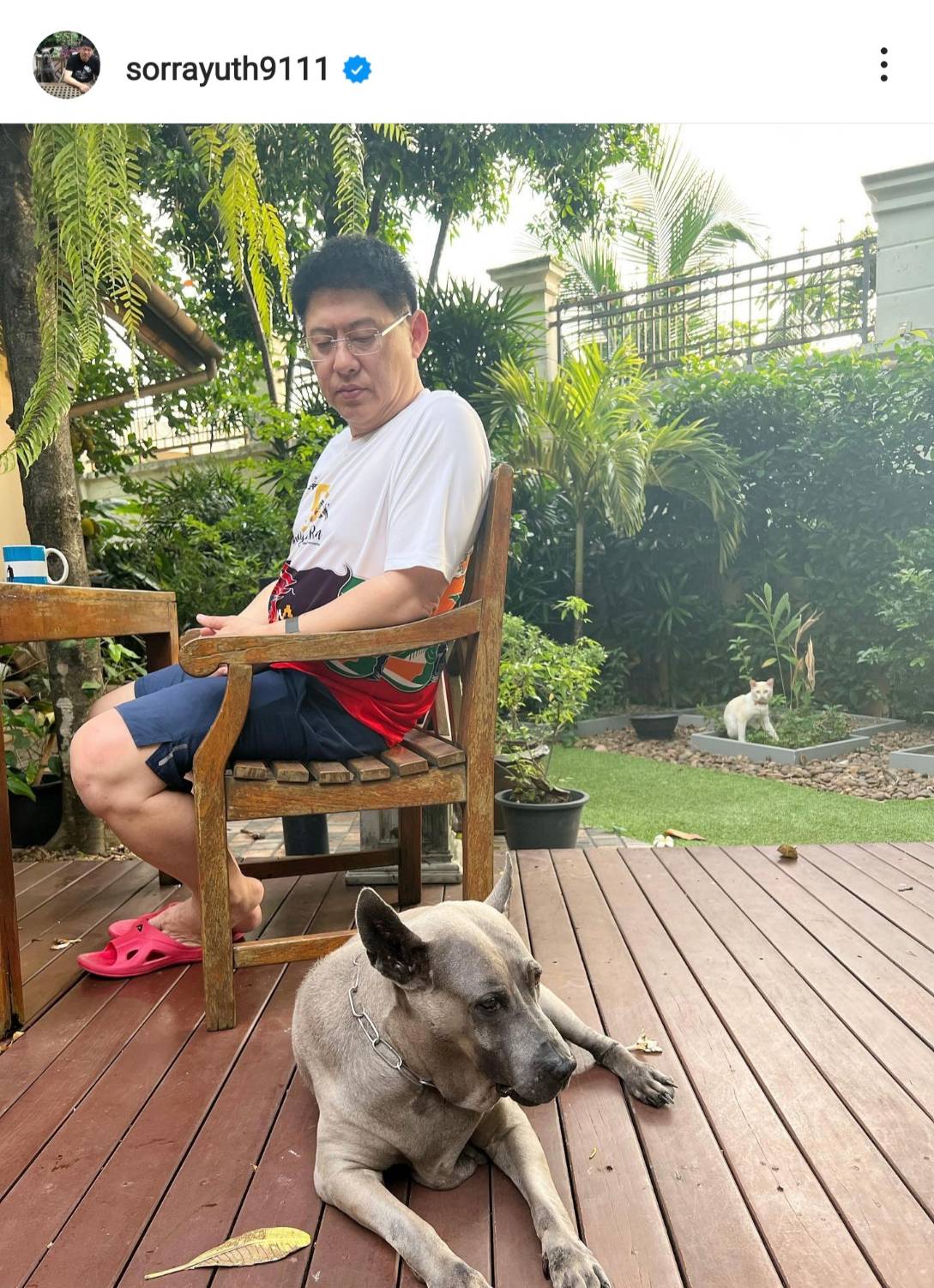 สรยุทธ สุทัศนะจินดา แจ้งข่าวเศร้า เจ้าลำดวน สุนัขคู่ใจได้จากไปแล้ว สรยุทธ สุทัศนะจินดา แจ้งข่าวเศร้า เจ้าลำดวน สุนัขคู่ใจได้จากไปแล้ว