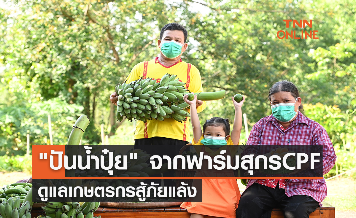 "ปันน้ำปุ๋ย" จากฟาร์มสุกรซีพีเอฟ ดูแลเกษตรกรสู้ภัยแล้ง ด้วยหลักเศรษฐกิจหมุนเวียน