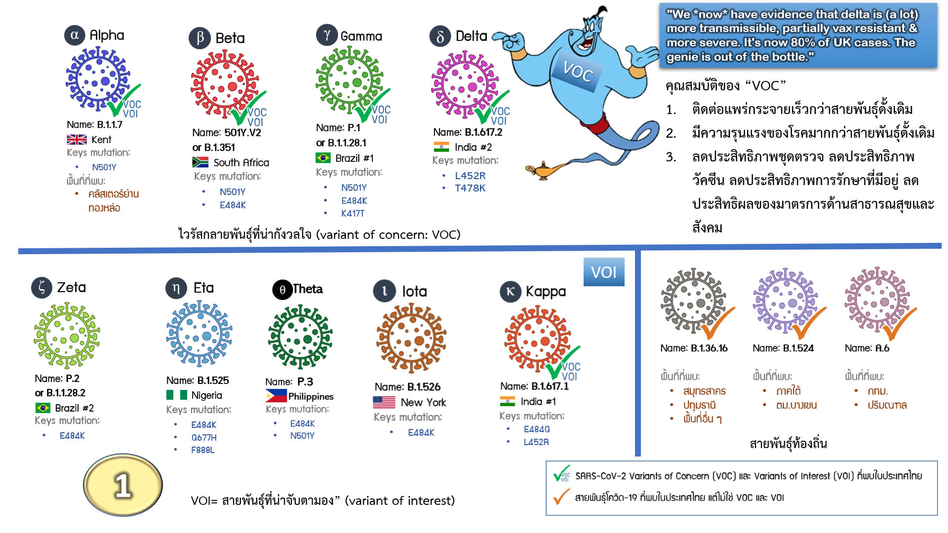 ไทยเฝ้าระวัง สายพันธุ์อินเดีย 2 หลังพบการแพร่ระบาดเร็วกว่าสายพันธุ์อังกฤษถึง 40% ไทยเฝ้าระวัง สายพันธุ์อินเดีย 2 หลังพบการแพร่ระบาดเร็วกว่าสายพันธุ์อังกฤษถึง 40%