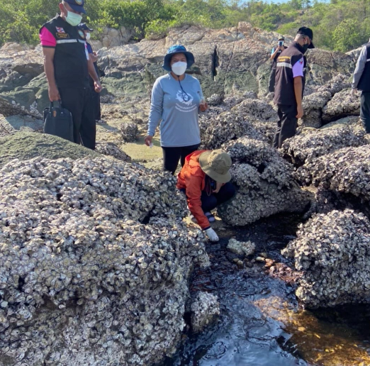 เร่งตรวจสอบ! พบคราบน้ำมันลอยเกยชายฝั่งเกาะสีชัง ระยะทางเกือบ 1 กม. เร่งตรวจสอบ! พบคราบน้ำมันลอยเกยชายฝั่งเกาะสีชัง ระยะทางเกือบ 1 กม.
