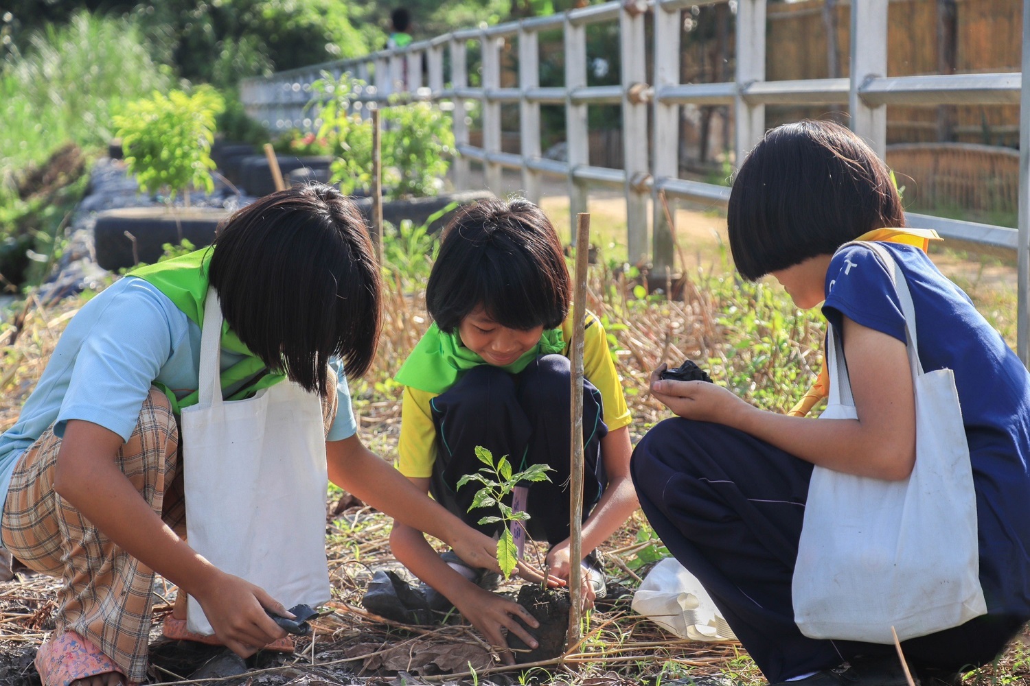 เครือซีพี เดินหน้า Kick off “ค่ายผู้นำเยาวชนรักษ์สิ่งแวดล้อม” ปลูกจิตสำนึกด้านสิ่งแวดล้อมในถิ่นฐานบ้านเกิด เครือซีพี เดินหน้า Kick off “ค่ายผู้นำเยาวชนรักษ์สิ่งแวดล้อม” ปลูกจิตสำนึกด้านสิ่งแวดล้อมในถิ่นฐานบ้านเกิด