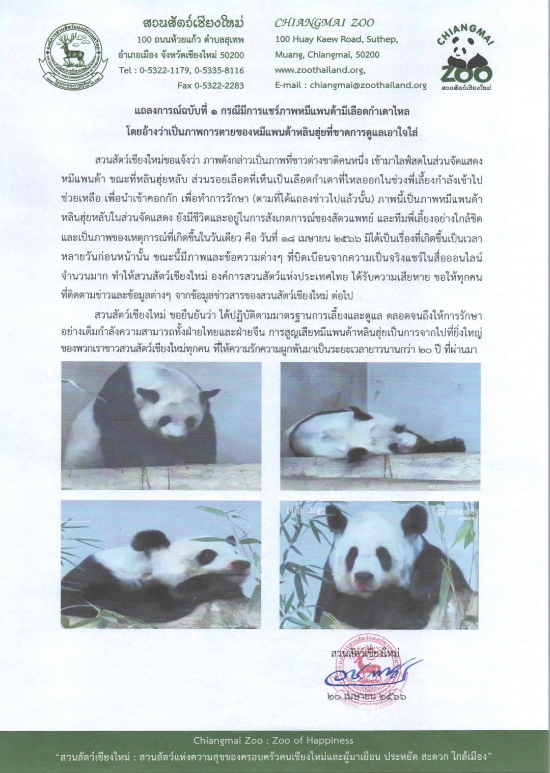  หลินฮุ่ยเสียชีวิต! สวนสัตว์เชียงใหม่ แถลงกรณีมีการแชร์ภาพเลือดกำเดาไหล