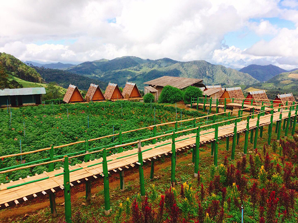 15 ที่เที่ยวแม่ฮ่องสอน 2565 เช็กอินดินแดนสามหมอก สัมผัสอากาศเย็นสุดฟิน 15 ที่เที่ยวแม่ฮ่องสอน 2565 เช็กอินดินแดนสามหมอก สัมผัสอากาศเย็นสุดฟิน