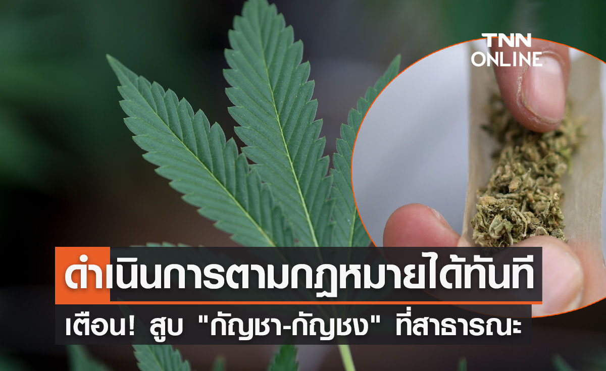 เตือน! สูบ "กัญชา-กัญชง" ที่สาธารณะ ดำเนินการตามกฎหมายได้ทันที  