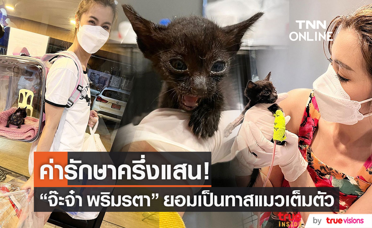 ยอมเป็นทาสแมว "จ๊ะจ๋า พริมรตา" จ่ายครึ่งแสน! รักษา "เมย์เดย์" (มีคลิป)