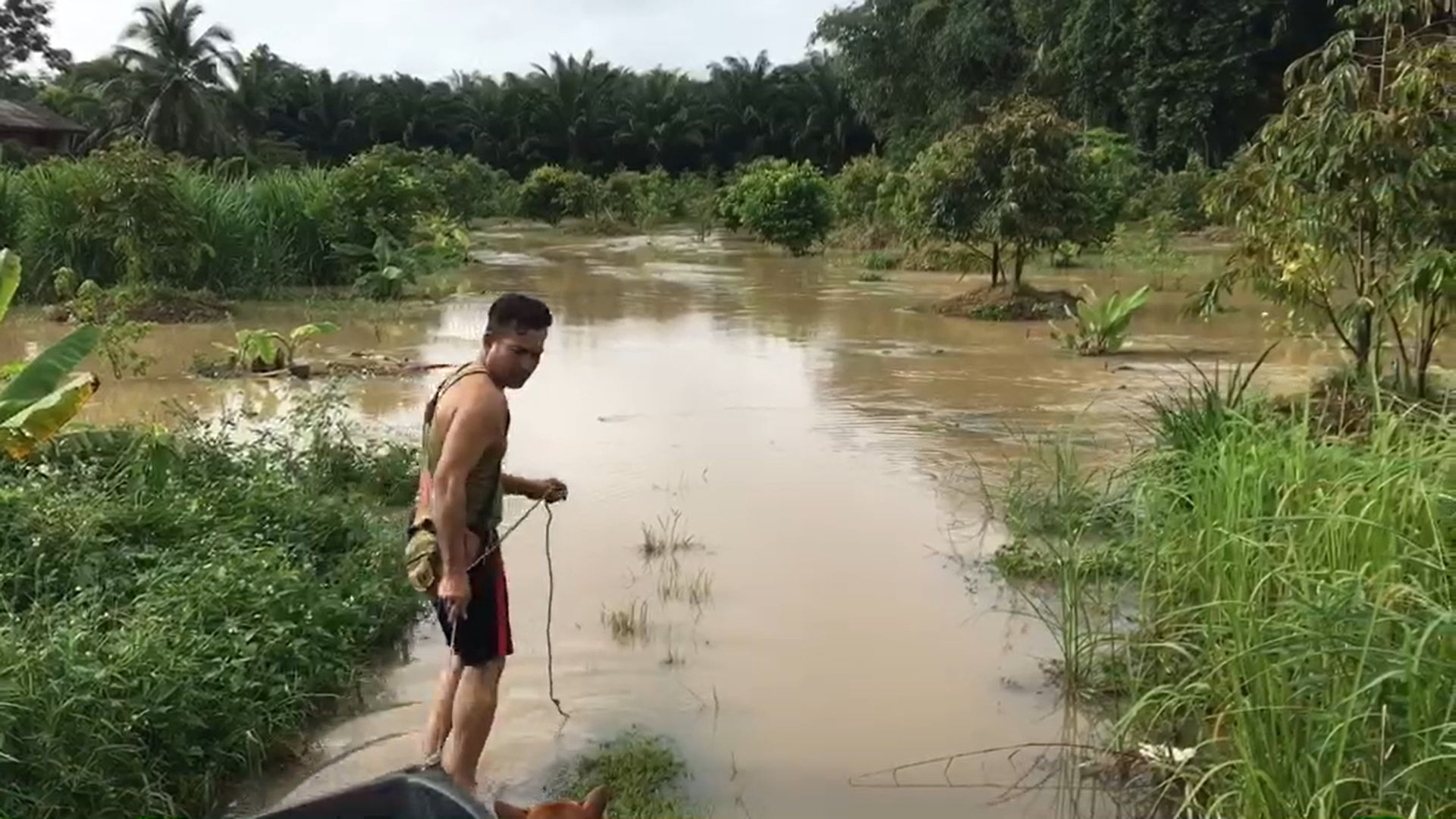 น้ำท่วมกระบี่ เตือนประชาชนขนของขึ้นที่สูง ฝนตกหนัก-น้ำหลาก น้ำท่วมกระบี่ เตือนประชาชนขนของขึ้นที่สูง ฝนตกหนัก-น้ำหลาก