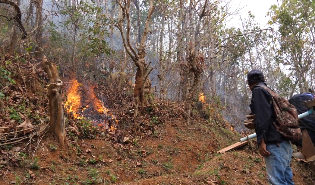 เจ้าหน้าที่ระดมกำลังนับร้อย เร่งคุม ไฟป่าสะเมิง เจ้าหน้าที่ระดมกำลังนับร้อย เร่งคุม ไฟป่าสะเมิง