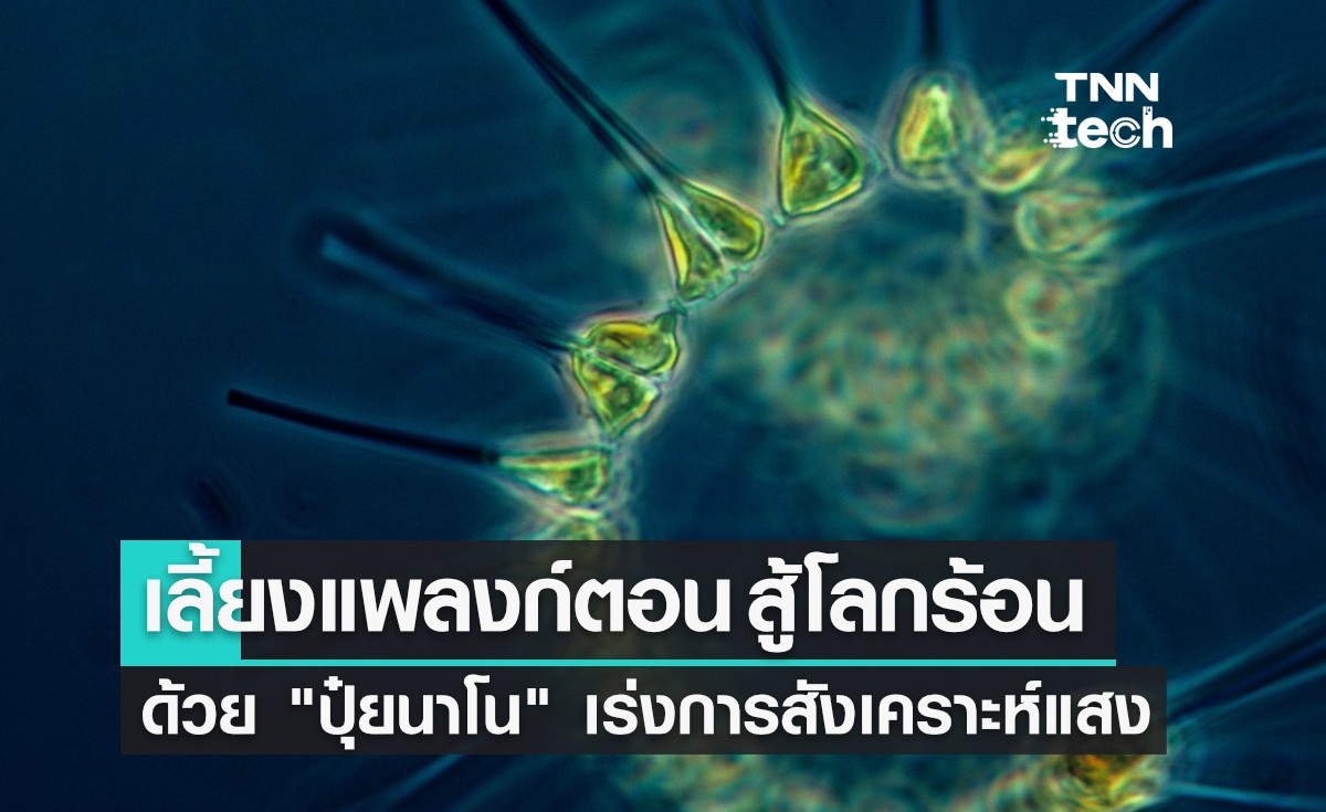 "ปุ๋ยนาโน" เลี้ยงแพลงก์ตอนในมหาสมุทร เพิ่มพลังกำจัดคาร์บอนไดออกไซด์