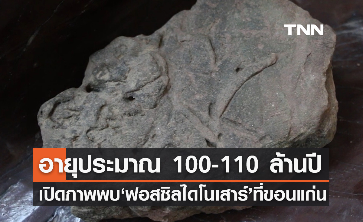 พบซาก "ฟอสซิลไดโนเสาร์" อายุประมาณ 100-110 ล้านปีที่ขอนแก่น