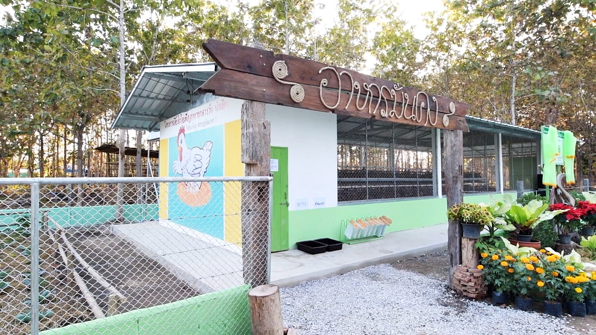 ซีพีเอฟ หนุน “โครงการเลี้ยงไก่ไข่เพื่ออาหารกลางวันนักเรียน” ก้าวสู่ปีที่ 35 ซีพีเอฟ หนุน “โครงการเลี้ยงไก่ไข่เพื่ออาหารกลางวันนักเรียน” ก้าวสู่ปีที่ 35