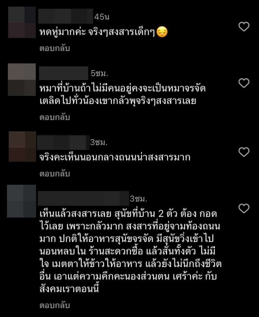 แต๊งค์ พงศกร ฟาดกลับคนจุดพลุ หลังพบสุนัขจรจัดตายกว่า 30 ตัว แต๊งค์ พงศกร ฟาดกลับคนจุดพลุ หลังพบสุนัขจรจัดตายกว่า 30 ตัว