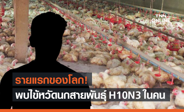 จีนพบไข้หวัดนก สายพันธุ์ H10N3 ติดในคนรายแรกของโลก!