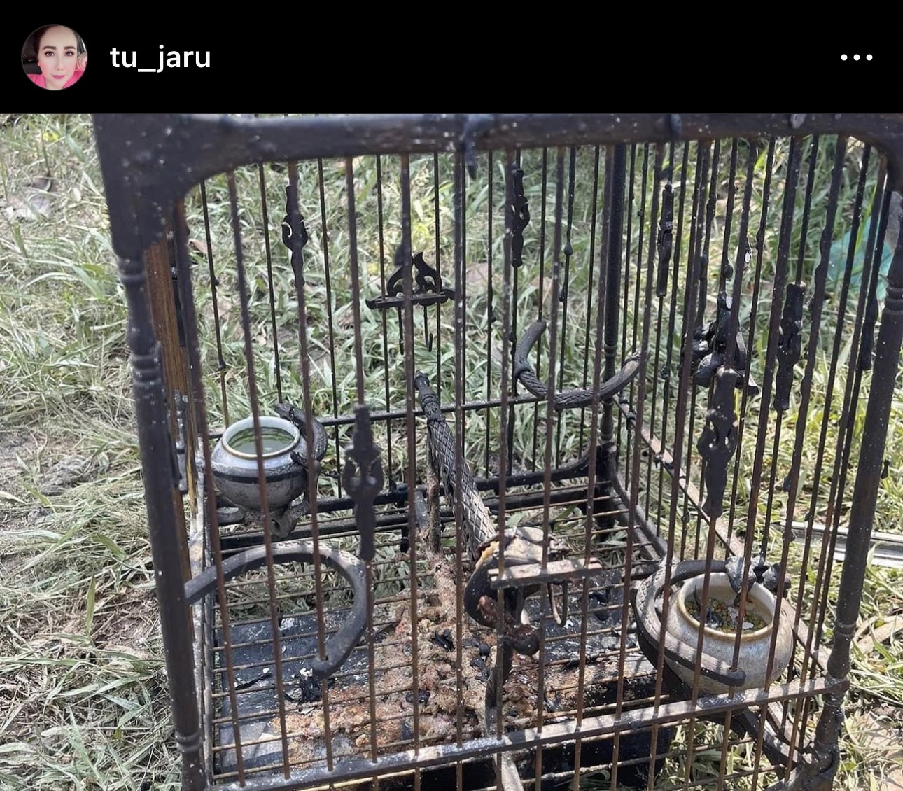 ตู่ จารุศิริ ช็อกบ้านไฟไหม้ ซึ้งใจขอบคุณทุกคนที่ช่วยเหลือ ตู่ จารุศิริ ช็อกบ้านไฟไหม้ ซึ้งใจขอบคุณทุกคนที่ช่วยเหลือ