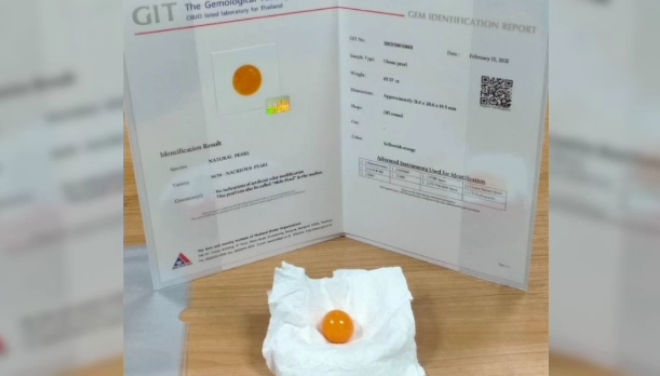 เผยผลตรวจ ‘ไข่มุกเมโล’ หนุ่มเมืองชลฯของแท้ 100% เผยผลตรวจ ‘ไข่มุกเมโล’ หนุ่มเมืองชลฯของแท้ 100%