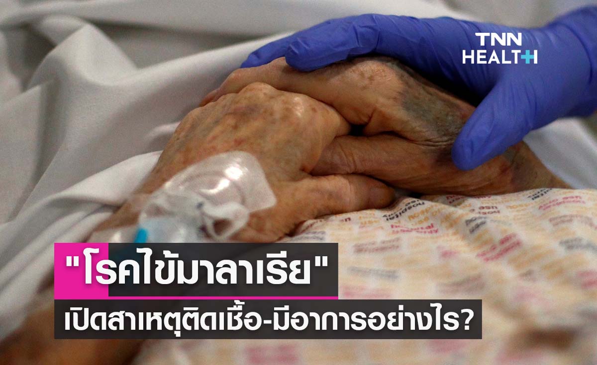 "โรคไข้มาลาเรีย" เปิดสาเหตุของการติดเชื้อ-หากป่วยมีอาการอย่างไร?