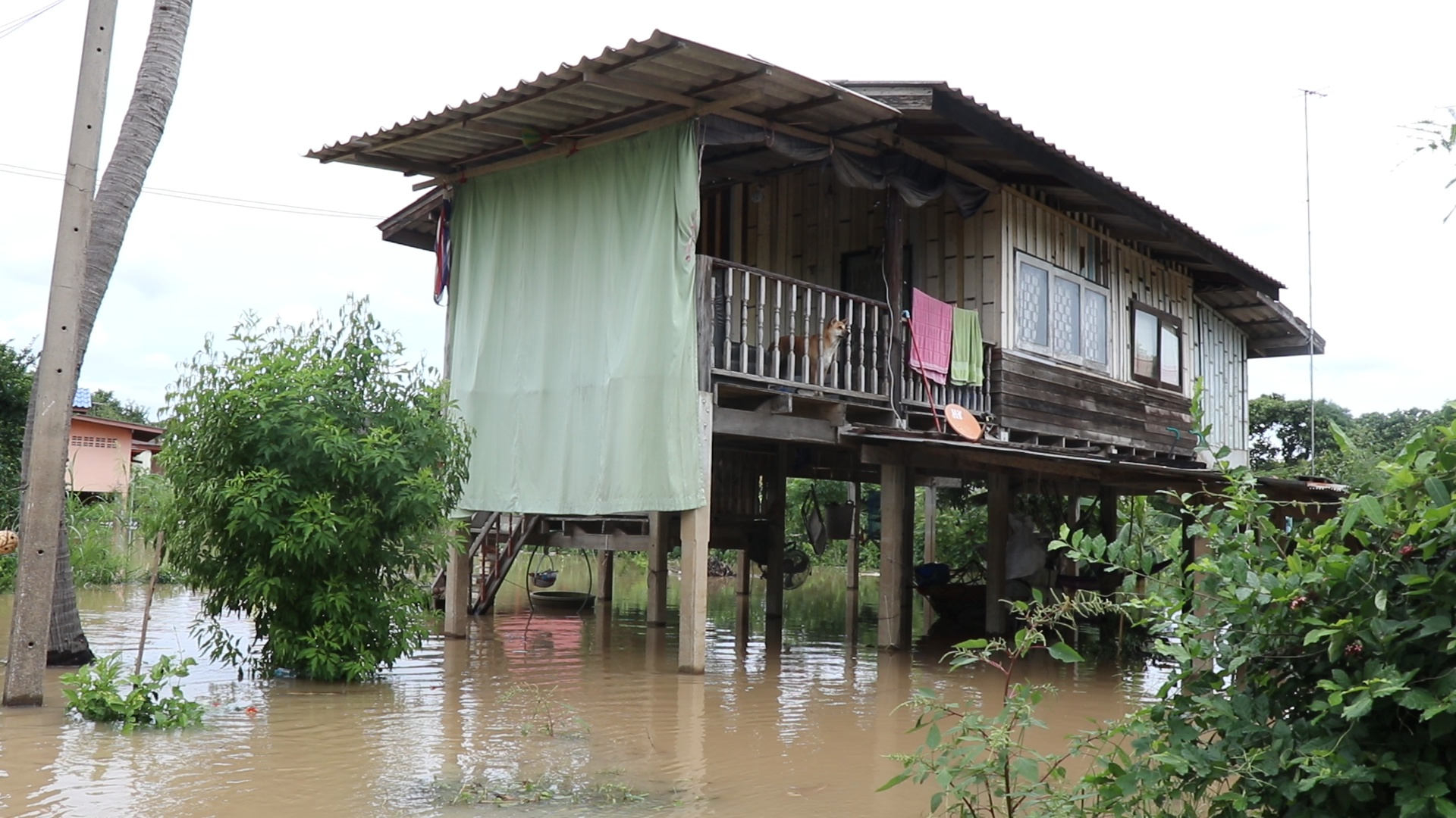 สถานการณ์น้ำท่วม อยุธยา 2 ฝั่งคลองบางบาล ยังท่วมสูง