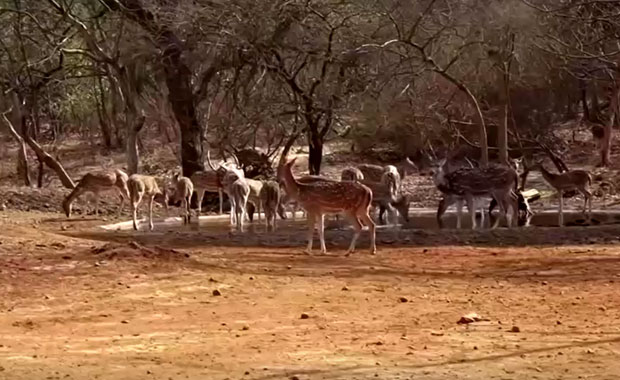 คลื่นความร้อนถล่มอินเดีย นิวเดลีอากาศร้อนจัดที่สุดในรอบเกือบ 80 ปี คลื่นความร้อนถล่มอินเดีย นิวเดลีอากาศร้อนจัดที่สุดในรอบเกือบ 80 ปี
