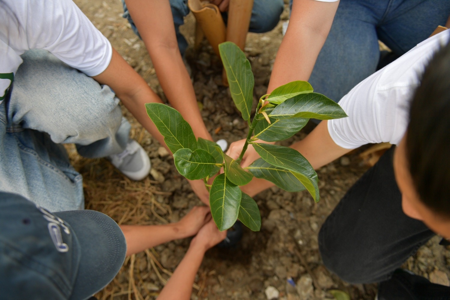 เครือซีพี ร้อยเรียงความดี จับมือกรุงเทพมหานครและภาคีเครือข่าย จัดกิจกรรม “ร้อย รักษ์ โลก เปรมสุข