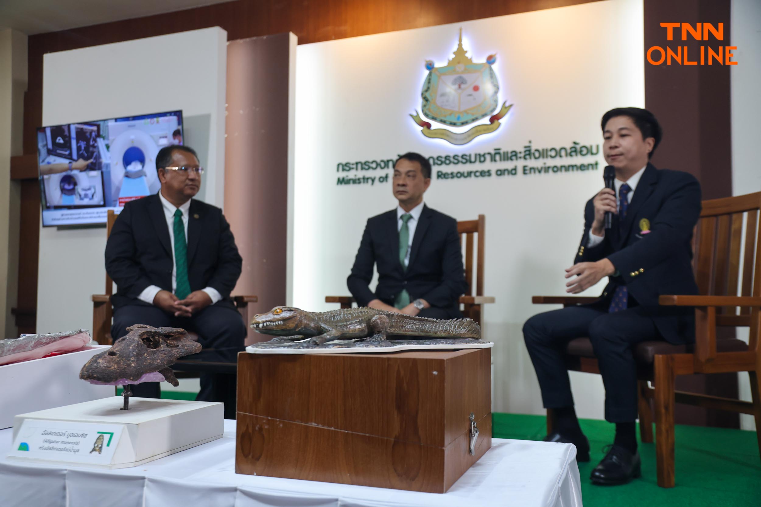 สายพันธุ์ใหม่ของโลก พบในไทยซากดึกดำบรรพ์อัลลิเกเตอร์ สายพันธุ์ใหม่ของโลก พบในไทยซากดึกดำบรรพ์อัลลิเกเตอร์