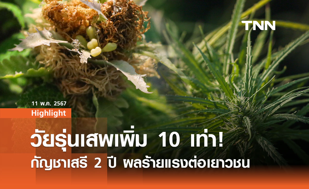 กัญชาเสรี 2 ปี ผลร้ายแรงต่อเยาวชน วัยรุ่นเสพเพิ่ม 10 เท่า!