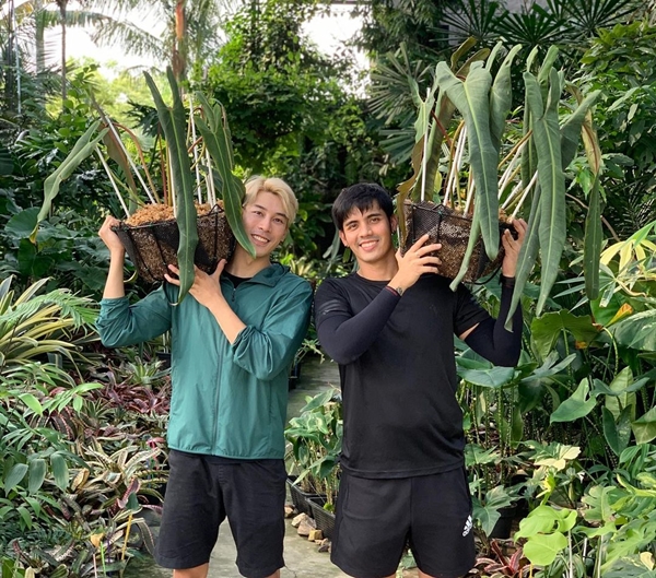 เคน ภูภูมิ ไลฟ์ประมูลต้นไม้ ได้ 8 แสนกว่า สมบททุนให้ครบ 1 ล้าน มอบให้โรงพยาบาล