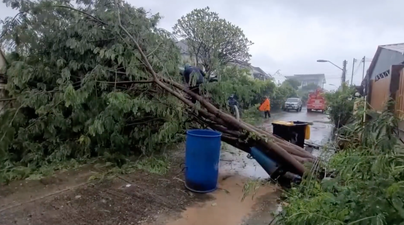 ‘พายุโนรู’เข้าไทย เปิดภาพเมืองอุบลราชธานีอ่วม!ต้นไม้ล้ม-น้ำท่วมรอระบาย ‘พายุโนรู’เข้าไทย เปิดภาพเมืองอุบลราชธานีอ่วม!ต้นไม้ล้ม-น้ำท่วมรอระบาย